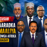 Mucaaradka Soomaaliya oo Midowga Afrika ka Dalbaday in Taageerada AUSSOM Lagu Xiro Xallinta Khilaafka Siyaasadeed